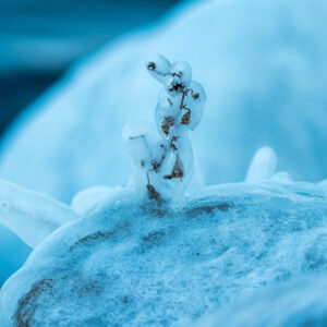 Winter is coming